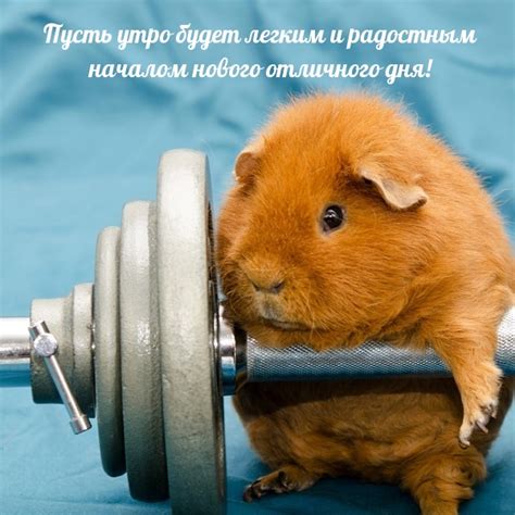 Начало нового дня с радостным смехом