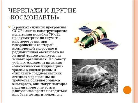 Начало освоения космоса