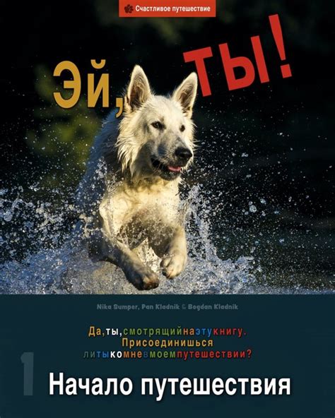 Начало путешествия: смешение радости и тревоги
