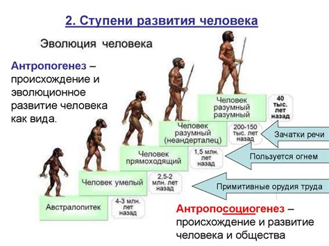 Начало развития