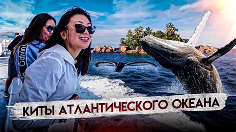 Невероятное зрелище на природе