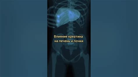 Негативное влияние на печень и почки