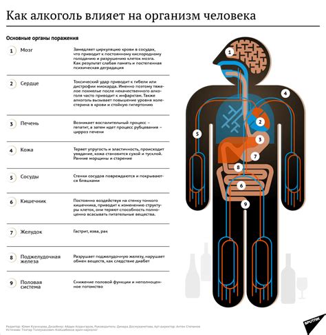 Негативное воздействие кислотности томатов на желудок