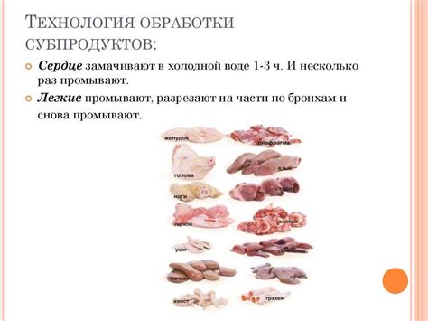 Негативные последствия варки вымени для собаки