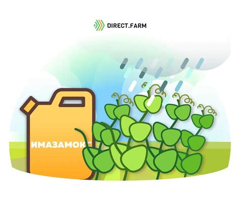 Недостатки поздней обработки горчицы сеянной
