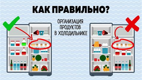 Недостатки хранения патчей в холодильнике