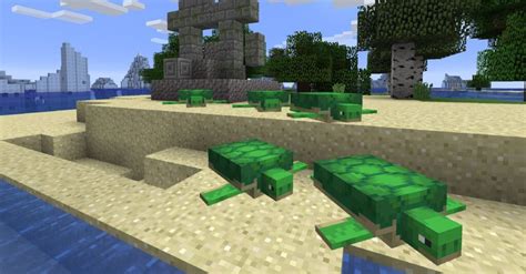 Необходимое оборудование для развития яйца черепахи в Minecraft