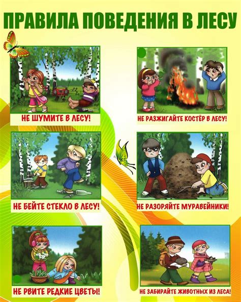 Необходимое снаряжение для безопасного пребывания в лесу