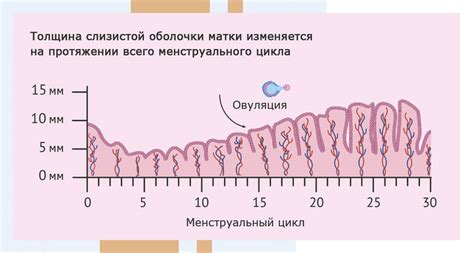 Необходимость полового контакта для зачатия