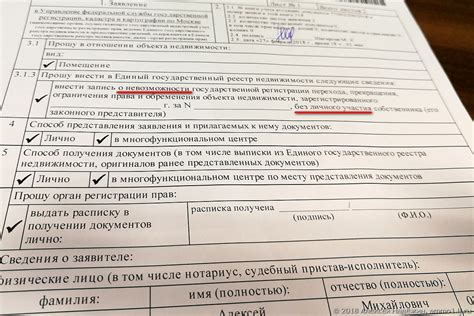 Необходимые документы и условия для оформления полюса в МФЦ