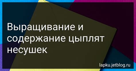 Необходимые условия для выращивания антоновки