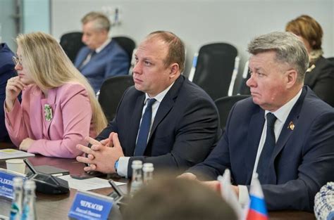 Необходимые условия для успешного садения укропа
