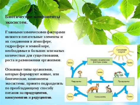 Необходимые элементы питания для успешного размножения