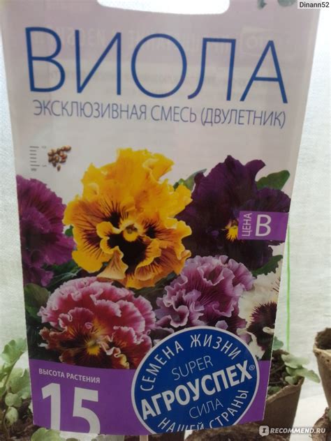 Необычная красота цветка