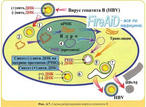 Необычные проявления вируса