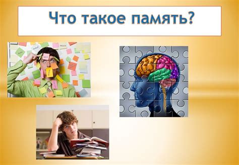 Неограниченные возможности человеческой памяти
