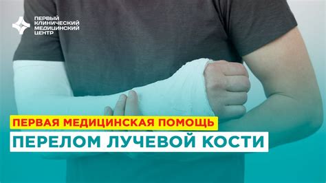 Неотложная помощь при переломе ноги лошади в полевых условиях