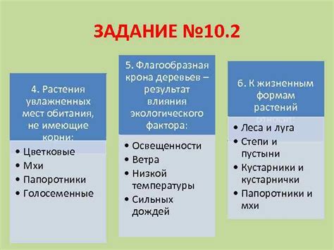 Не дайте мышам пустить корни: устранение возможных мест обитания
