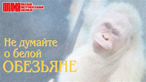 Не дайте обезьяне слово: ковбои и шарманщики