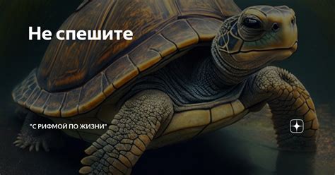 Не спешите: