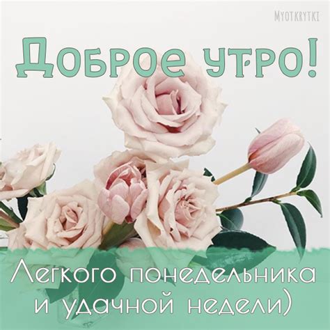 Новые возможности с началом недели