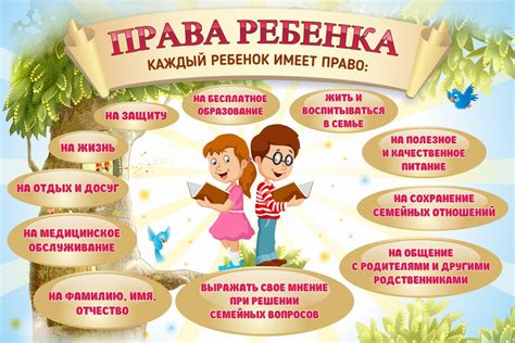 Новые права и ответственность