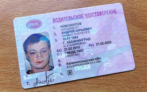 Новые элементы водительского удостоверения