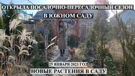 Ноябрьский пересадочный сезон
