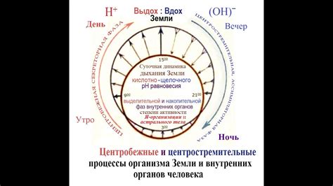 Нравственные аспекты