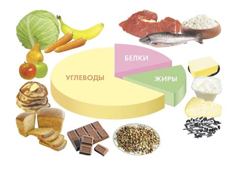 Обеспечивает необходимые питательные вещества