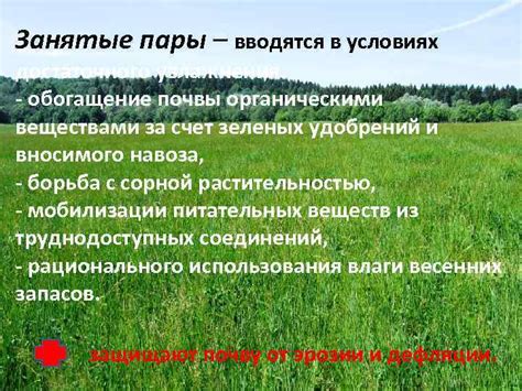 Обогащение почвы органическими веществами