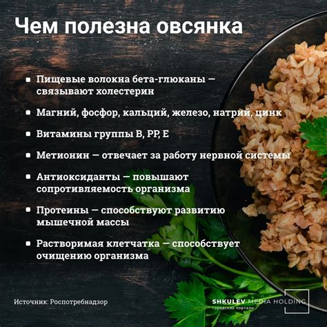 Обогащенные овсянки: источник дополнительного кальция