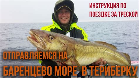 Оборудование для ловли трески в Баренцевом море