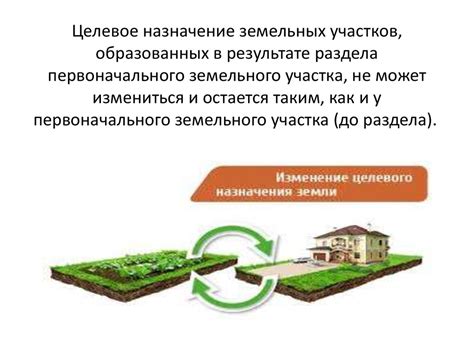 Образование нового земельного участка в результате раздела имущества