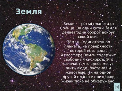 Образ жизни и атмосфера вокруг Сявы