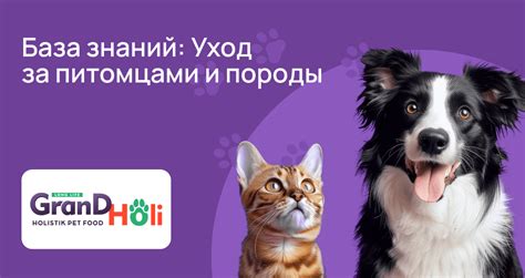 Общая ответственность и уход за питомцами