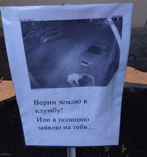 Общение с соседями и поиск компромисса