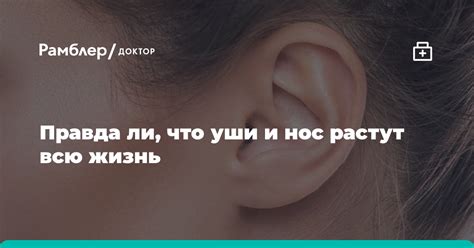 Объяснение процесса: почему многие считают, что уши растут