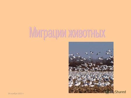 Ограничение миграции и потеря мест обитания