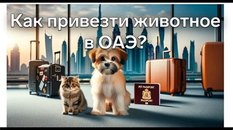 Ограничения по перевозке домашних животных