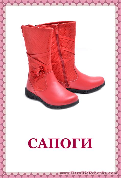 Одежда и обувь: