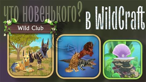 Ожидаемая дата выхода нового обновления в игре WildCraft
