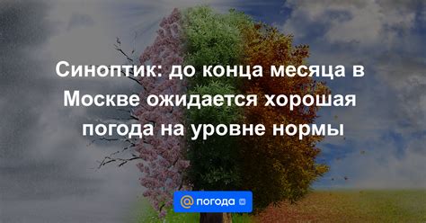 Ожидается хорошая погода