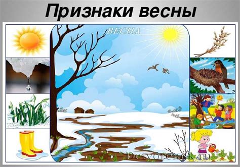 Ожидание весны и первые признаки цветения
