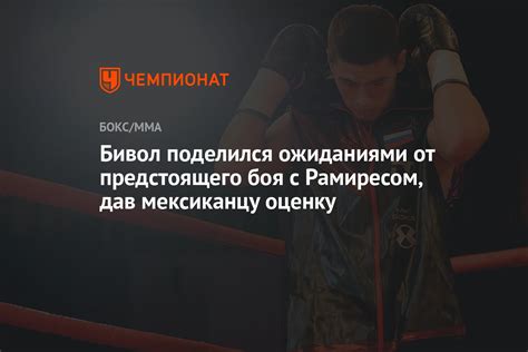 Ожидания от предстоящего боя
