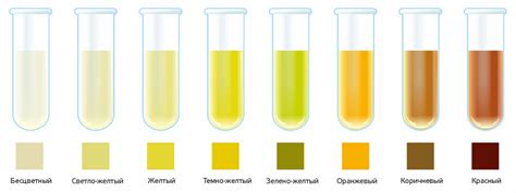 Окраска мочи в оранжевый цвет: физиологические механизмы