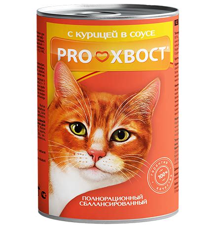 Опасности, связанные с сырой курицей для кошек