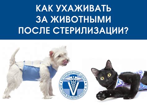 Опасности после стерилизации