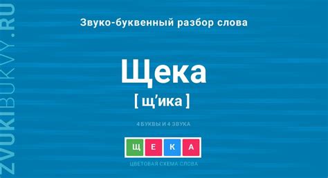 Описание и значения слова "Щека"