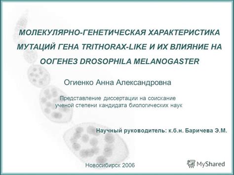 Описание новых мутаций и их влияние на геймплей